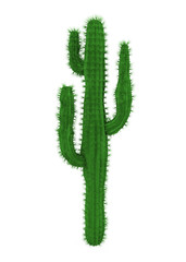 Cactus Plants Isolated