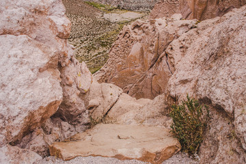View over the edge of a cliff over a canyon in the arid desert of Bolivia
