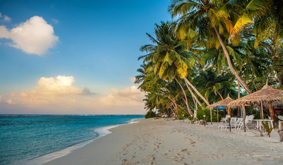 Tropical beach in Maldives.Tropical Paradise at Maldives with palms, sand and blue sky