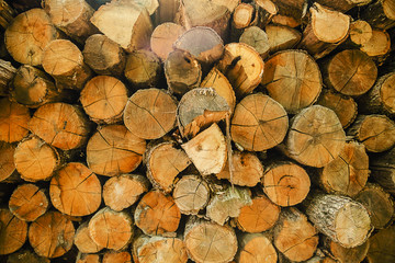 Brown pile of cut tree wood used as natural background