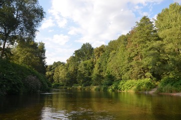 Fototapeta na wymiar Naturlandschaft Fluss am Wald im Sommer