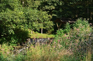 Naturlandschaft im Wald sommerlich am Fluss - Wehr