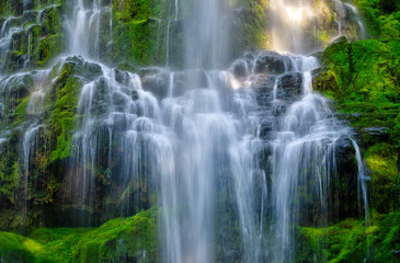 Cascading Water at Proxy Falls