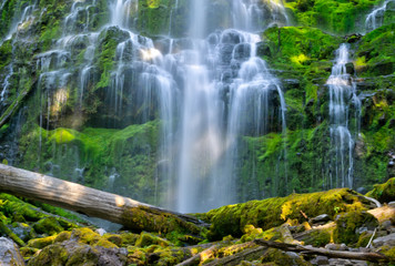 Cascading Water at Proxy Falls