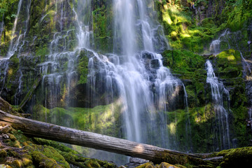 Fototapeta na wymiar Cascading Water at Proxy Falls