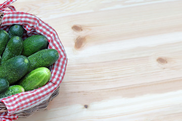 cucumbers in the basket