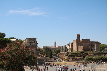 View to Forum Romanum in Rome, Italy 