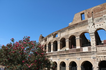 Fototapeta premium The Colosseum or Coliseum in Rome, Italy