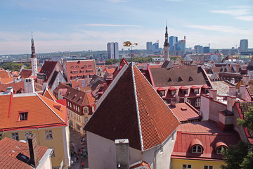 tallinn