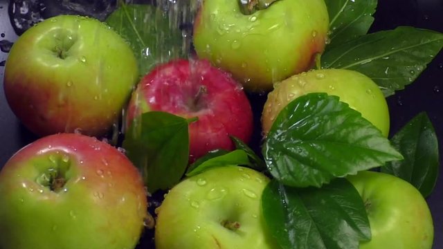 Fresh apples with leaves are washed under droplets of clean running water close-up