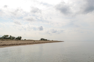 sea landscape, clouds in the sky, sandy beach with rocks and plants