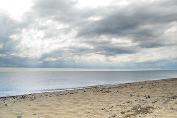 sea landscape, clouds in the sky in front of a thunder-storm, sandy beach with rocks and plants