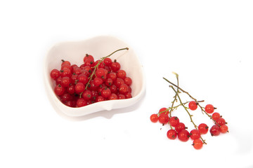 Red currant on a white background.