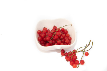 Red currant on a white background.