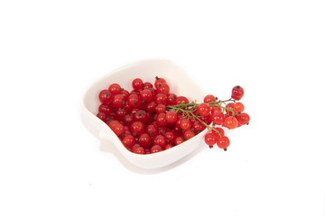 Red currant on a white background.