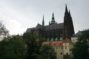 Fototapeta premium Widok na katedrę w w zamku Praskim w Pradze