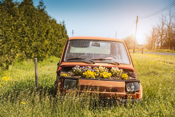 Old vehicle in the garden with flowerpot