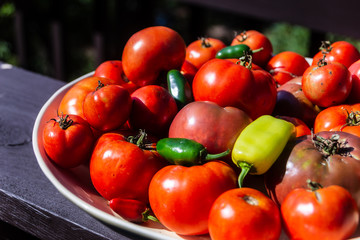 Summertime bumper crop of tomatoes and other vegetables on a tray on the farm.