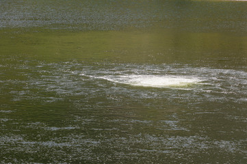 Speicherteich wird befüllt