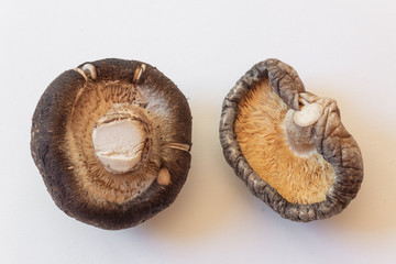 Two dried shiitake mushrooms seen from underneath, horizontal aspect