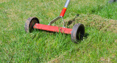Cleaning up the grass with a rake. Aerating and scarifying the lawn in the garden. Remove old grass. Manual scarification of lawn with fan rakes and wheels. 