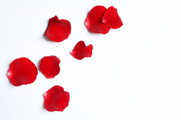 Obraz premium Czerwone płatki róż na białym tle, widok z góry