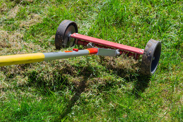 Cleaning up the grass with a rake. Aerating and scarifying the lawn in the garden. Remove old...
