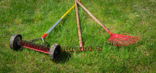 Red garden rakes and manual scarification on the grass in the summer garden. Spring care for lawn.