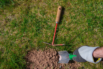 Soil and dirty hand cultivator and hoe during real work in the garden. Garden hand tools.