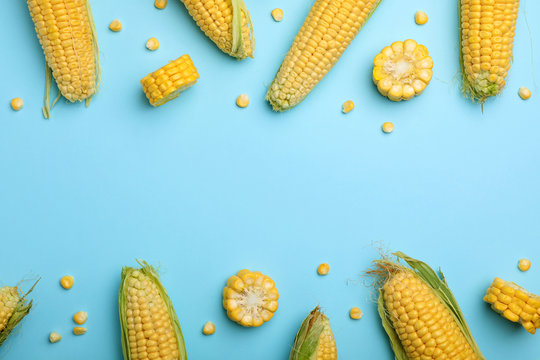 Flat lay composition with tasty sweet corn cobs on color background
