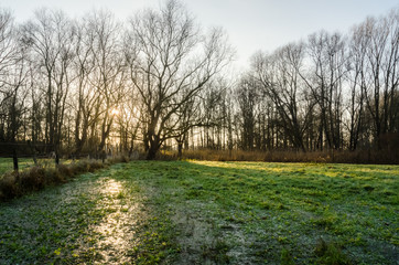 Damvallei - Destelbergen, Belgium