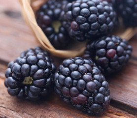 Fresh blackberries