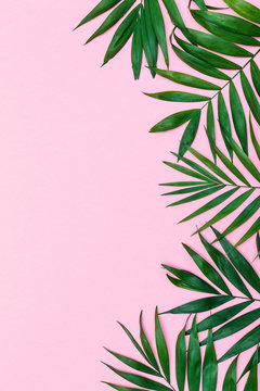 Tropical composition background