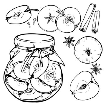 Apple jam in a jar and apples, home harvesting of apples, black and white vector illustration, painting