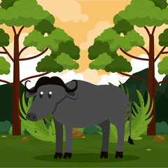 Buffalo wild animal at jungle cartoons vector illustration graphic design