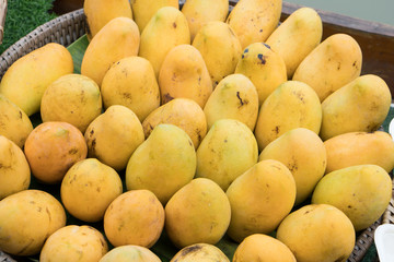 Yellow Mangoes Thai Fruit Basket selling on the wooden boat at Water Market