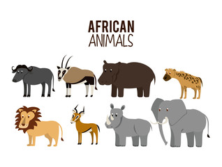 Set of African animals cartoon vector illustration graphic design