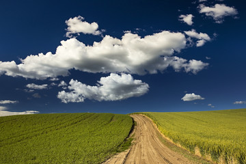 Road leading up to puffy clouds in farm land