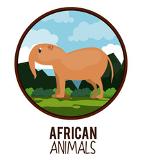 African anteater animals cartoon vector illustration graphic design