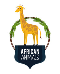 African giraffes animals cartoon vector illustration graphic design