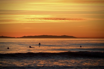 Fototapeta premium bright orange sunset over the ocean showing silhouettes of surfers waiting for waves 