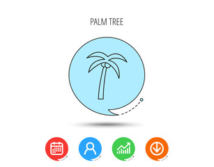 Palm tree icon. Travel or vacation symbol.
