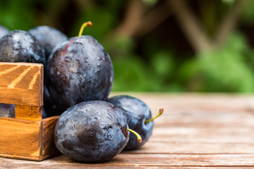Fresh ripe plums in wooden box close