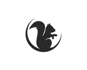 squirrel logo