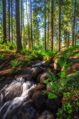 Stream