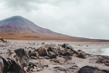 Rocky shore of the Laguna Blanca (white lagoon) in the Eduardo Avaroa National Reserve in Bolivia
