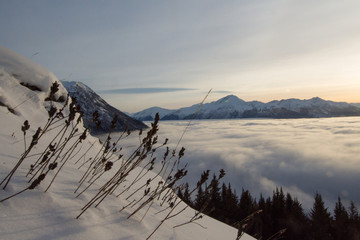 Alaska, Turnagain Arm. View from Bird Ridge in winter to the inversion fog over Turnagain Arm.