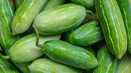 stack of green fresh organic cucumber.