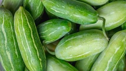 stack of green fresh organic cucumber.