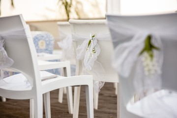 Moderm empty style wooden chairs for events and weddings